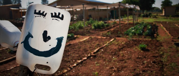A community garden growing more than just vegetables