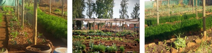 Lessons from the field