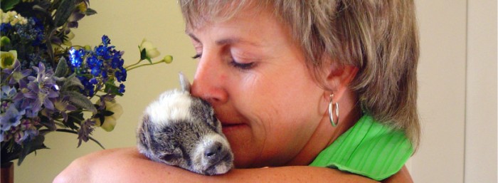 Q & A with Society for Animals in Distress