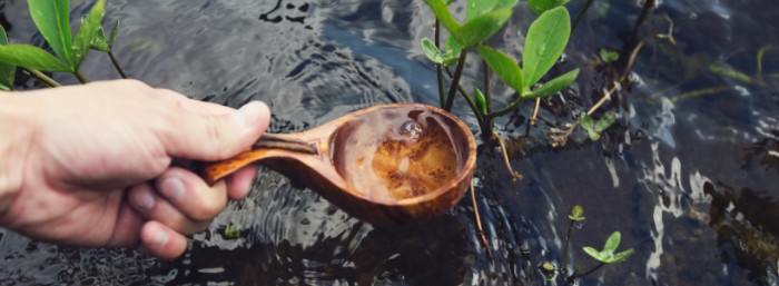 Why Crowdfunding for NGOs is Not Sustainable