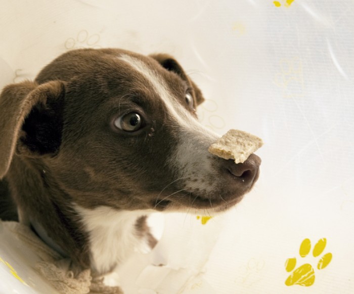 Featured Photo of the Week