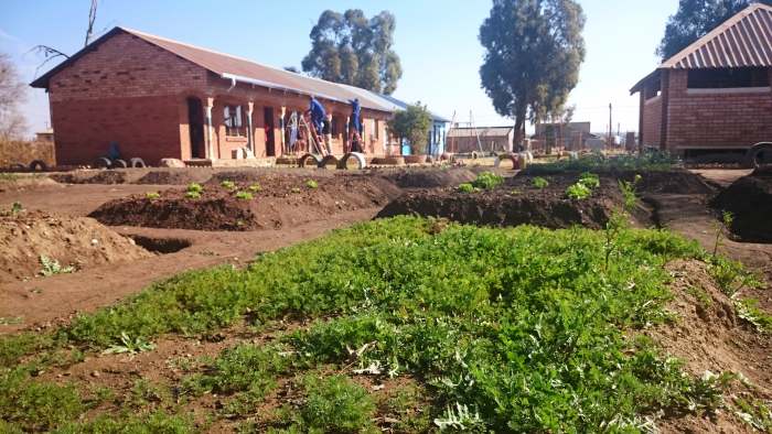 img-responsive DSC_0073