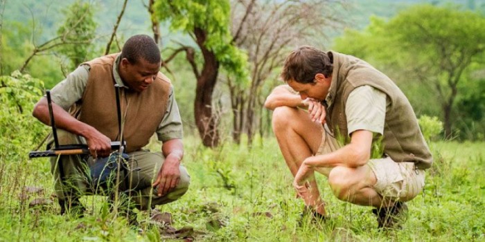 Q & A with Wildlands