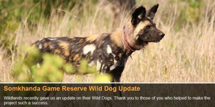 Ophthalmologists, Office Moves & Out-of-the-box Learning