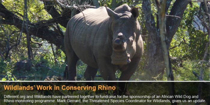 Conservation, Classroom Fun & Capturing Moments