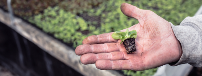 Donating  – One Step at a Time