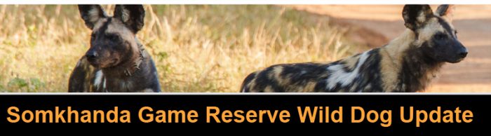 Fully Funded Futures & Sewing the Seeds of Change