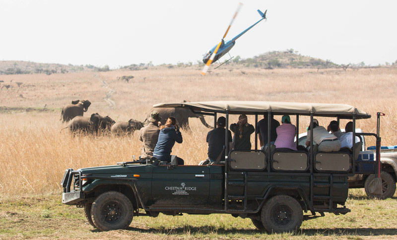 cc25b6b8-54c2-44c3-9dd1-cb1d32a95dbd