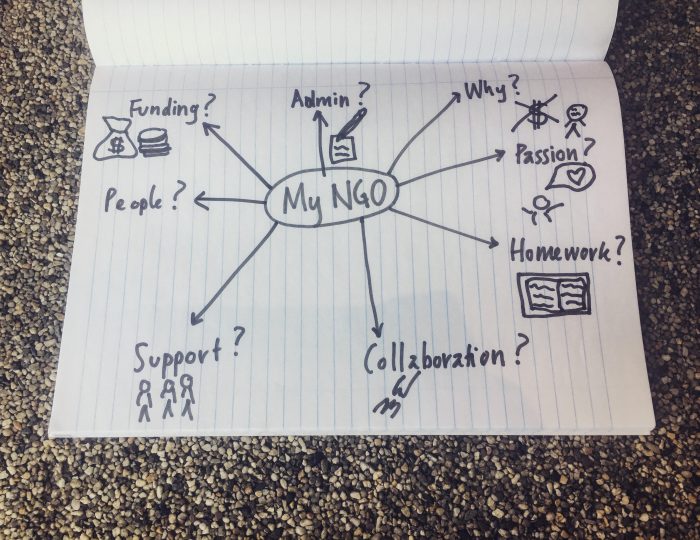So You Want To Start An NGO?