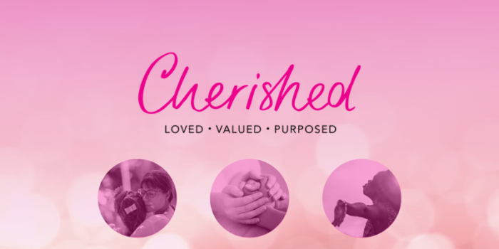 Restoration and Rehabilitation with Cherished