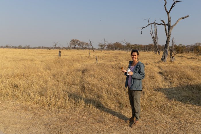 Moremi-collection-1-of-27