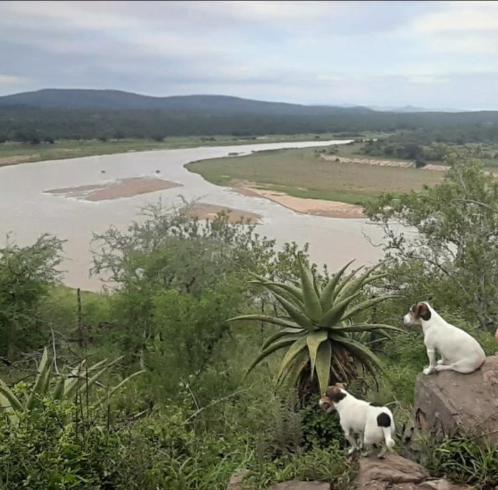 Screenshot_20230110-071420_WhatsApp