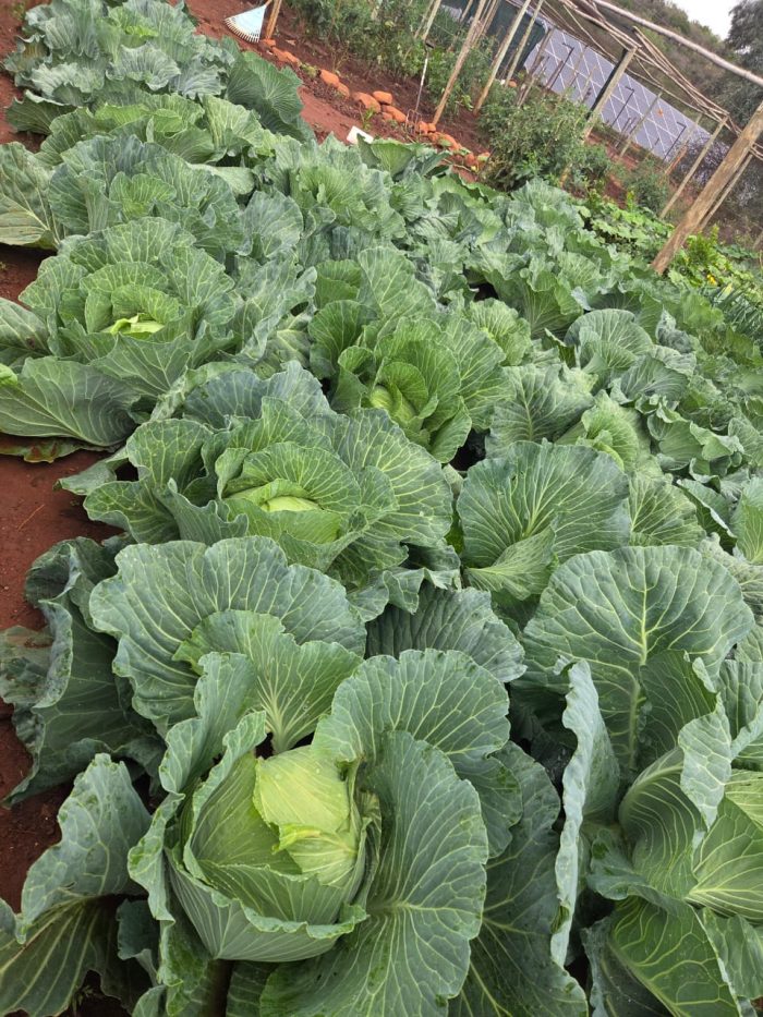 WhatsApp-Image-2026-02-24-at-14.08.25