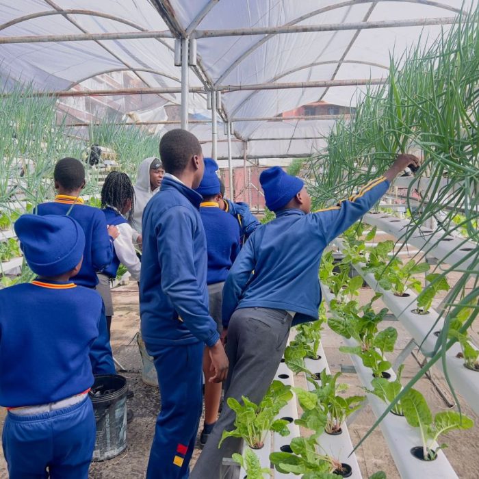 Image of of teenage school children in blue uniforms looking at hydroponically planted vegetables in the grow tunnel on a rooftop in a high-density urban environment