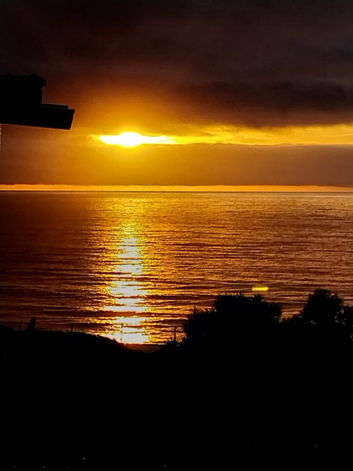 IMG-20250208-WA0006