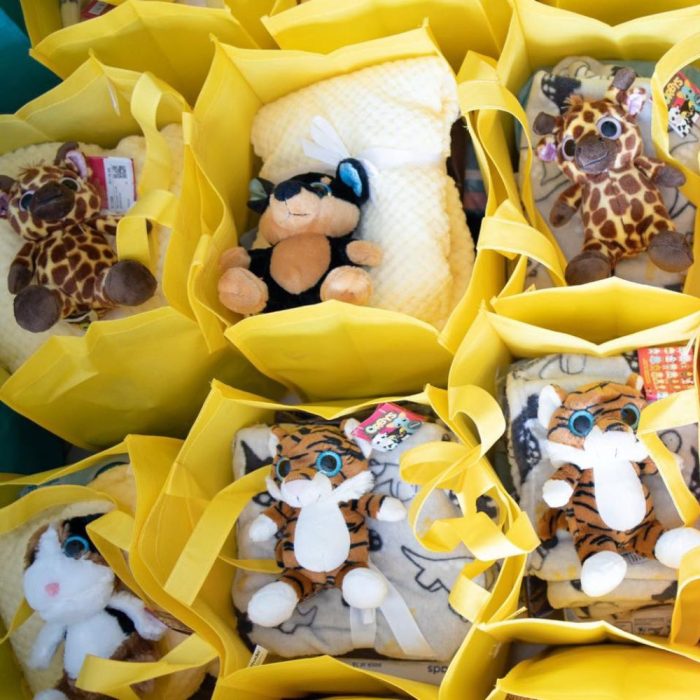 Image of maternity packs containing essential items for vulnerable mothers and newborns in Gauteng, the Free State, and KwaZulu-Natal. Visible at the top of each bag is a soft blanket and toy